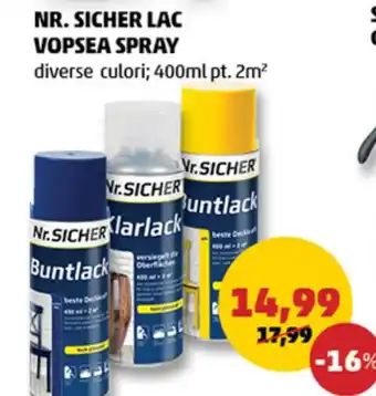 Penny NR. SICHER LAC VOPSEA SPRAY Ofertă