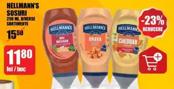 HELLMANN'S SOSURI