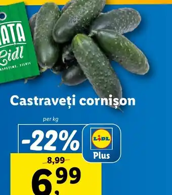 Lidl Castraveţi cornison Ofertă