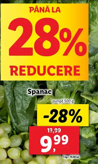 Lidl Spanac Ofertă