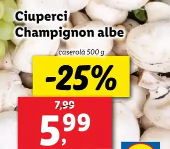 Lidl Ciuperci Champignon albe Ofertă