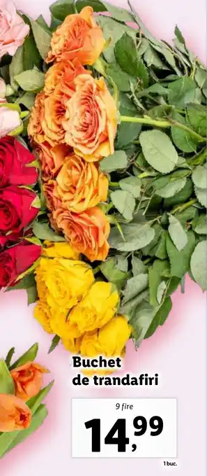 Lidl Buchet de trandafiri Ofertă