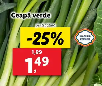 Lidl Ceapă verde Ofertă