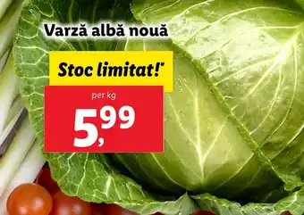 Lidl Varză albă nouă Ofertă