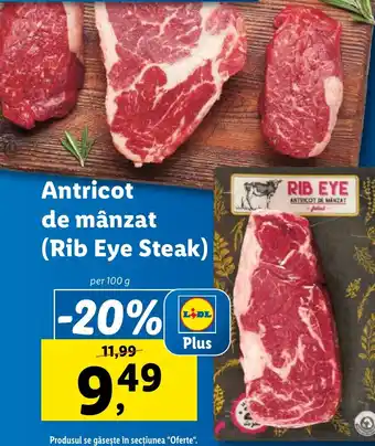 Lidl Antricot de mânzat (Rib Eye Steak) Ofertă