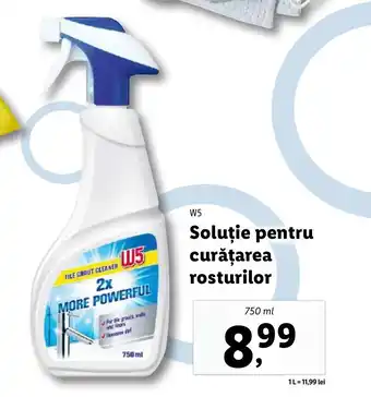 W5 Soluţie pentru curăţarea rosturilor