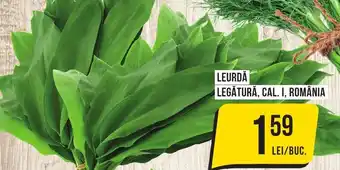 Mega Image LEURDA LEGĂTURĂ, CAL. I, ROMÂNIA Ofertă