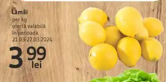 Supeco Lămâi Ofertă