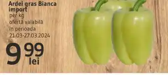 Ardei gras Bianca import