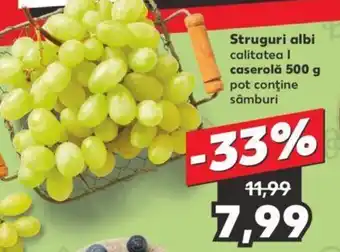 Kaufland Struguri albi Ofertă