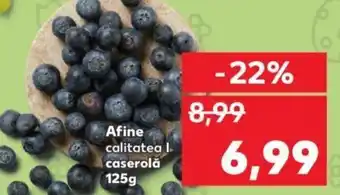 Kaufland Afine Ofertă