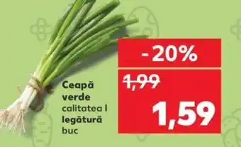 Kaufland Ceapă verde Ofertă