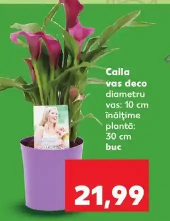 Kaufland Calla vas deco Ofertă
