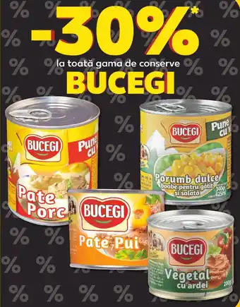 Kaufland BUCEGI Ofertă