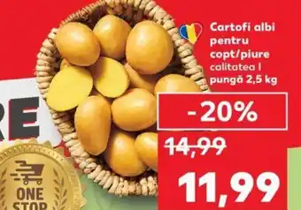 Kaufland Cartofi albi pentru copt/piure Ofertă