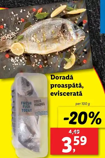 Doradǎ proaspătă, eviscerată