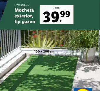 Lidl LIVARNO home Mochetǎ exterior, tip gazon Ofertă