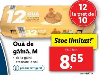 Lidl Ouǎ de găină, M Ofertă