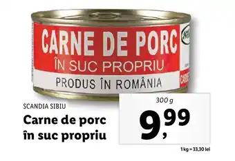 SCANDIA SIBIU Carne de porc în suc propriu
