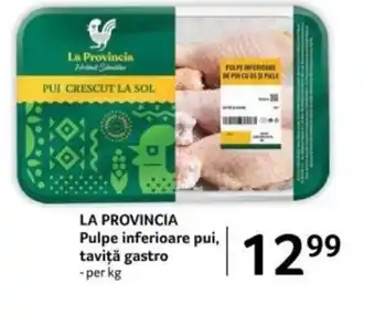 Selgros LA PROVINCIA Pulpe inferioare pui, taviţă gastro Ofertă