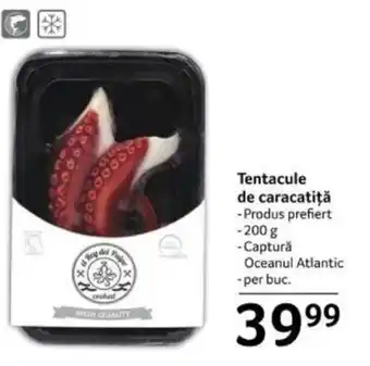 Tentacule de caracatiţă