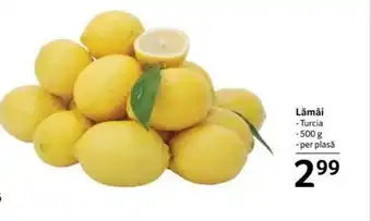 Selgros Lămâi Ofertă