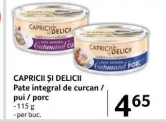Selgros CAPRICII ȘI DELICII Pate integral de curcan / pui / porc Ofertă