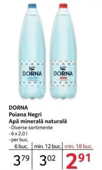 Selgros DORNA Poiana Negri Apă minerală naturală Ofertă