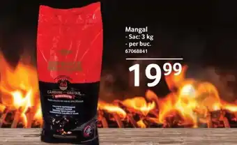 Selgros Mangal Ofertă
