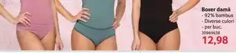 Selgros Boxer damǎ Ofertă