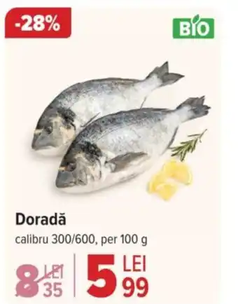 Carrefour Doradǎ Ofertă