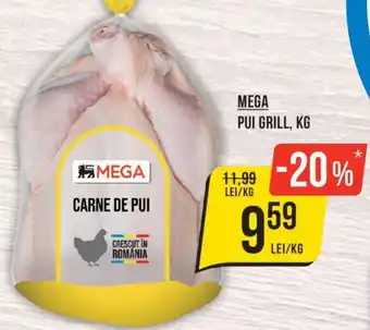 Mega Image MEGA PUI GRILL, KG Ofertă