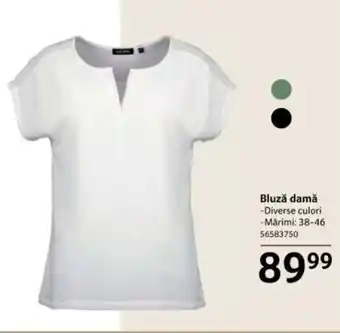 Bluzǎ damă