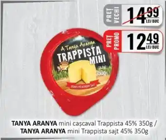 TANYA ARANYA mini caşcaval Trappista 45% 350g