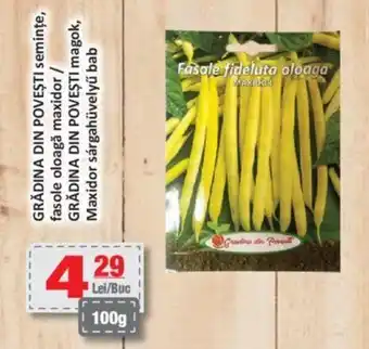 GRĂDINA DIN POVEŞTI seminţe, fasole oloagă maxidor