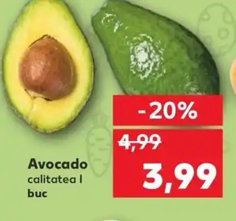 Kaufland Avocado Ofertă