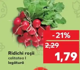 Kaufland Ridichi roşii Ofertă