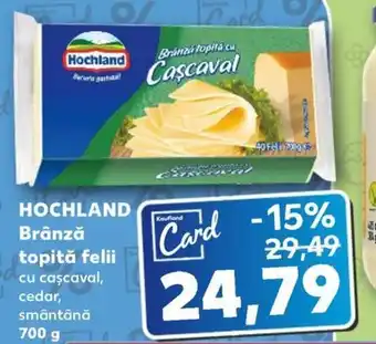 Kaufland HOCHLAND Brânză topită felii Ofertă