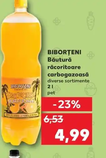 Kaufland BIBORȚENI Băutură răcoritoare carbogazoasă 2L Ofertă