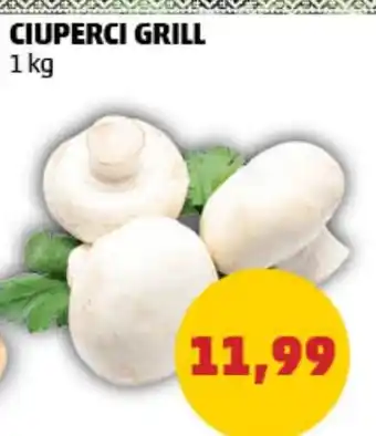 Penny CIUPERCI GRILL Ofertă