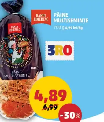 Penny PAINE MULTISEMINTE Ofertă