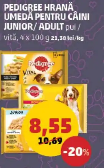 Penny PEDIGREE HRANĂ UMEDĂ PENTRU CÂINI JUNIOR/ADULT Ofertă
