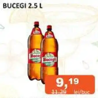 Unicarm BUCEGI 2.5 L Ofertă