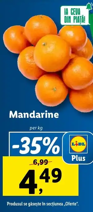 Lidl Mandarine Ofertă