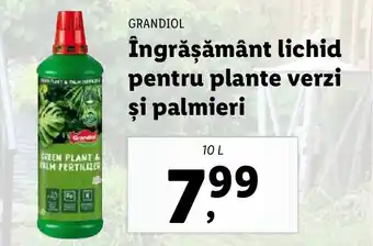 Lidl GRANDIOL Îngrăşământ lichid pentru plante verzi şi palmieri Ofertă