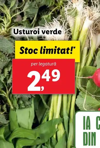 Lidl Usturoi verde Ofertă