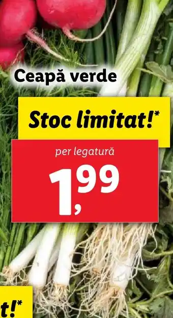 Ceapă verde