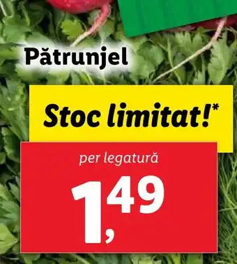 Pătrunjel