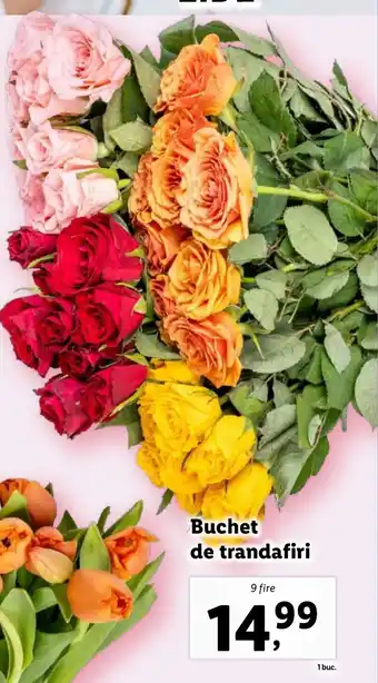Lidl Buchet de trandafiri Ofertă