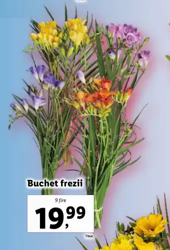 Lidl Buchet frezii Ofertă